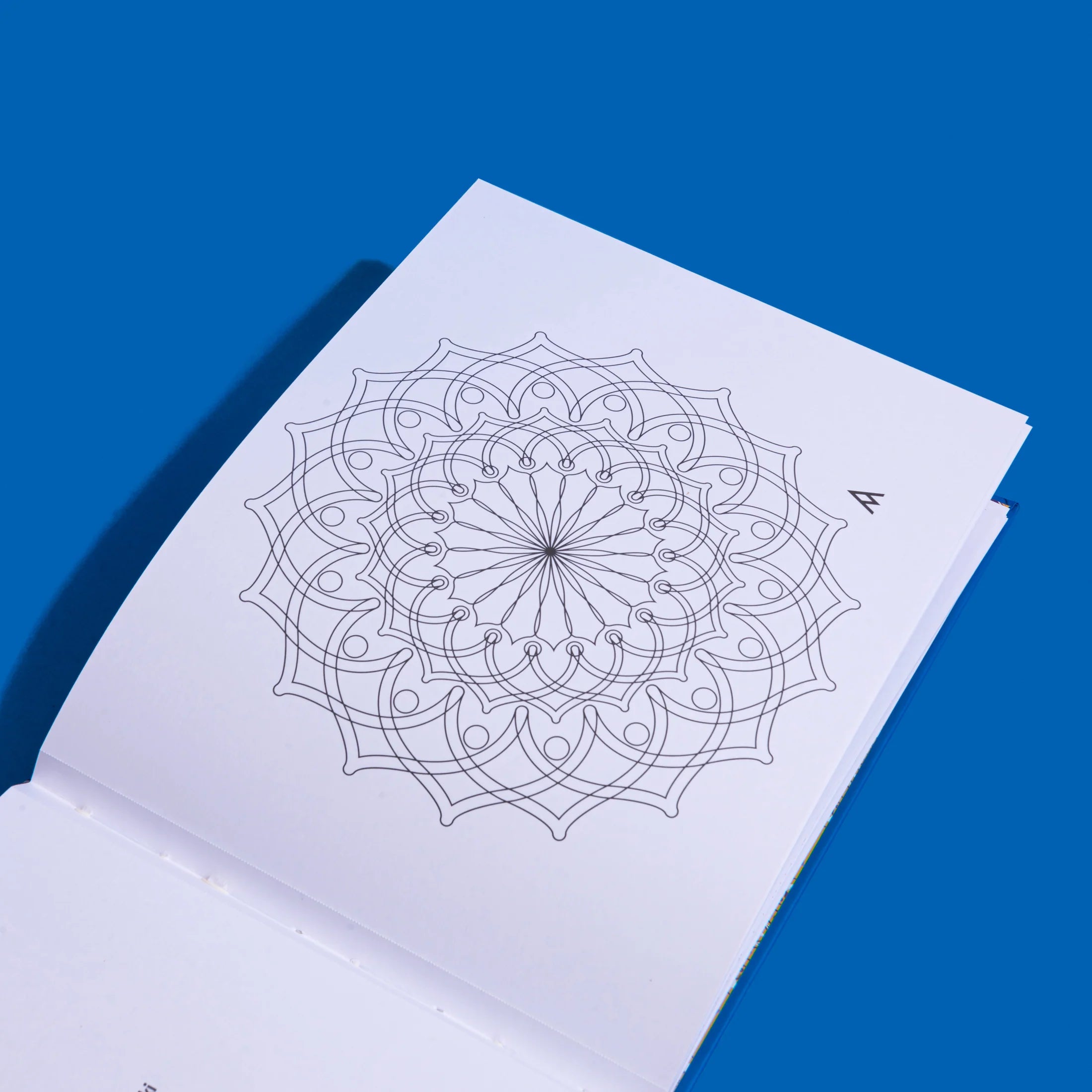 LIBRO MANDALAS PARA EL ALMA 3